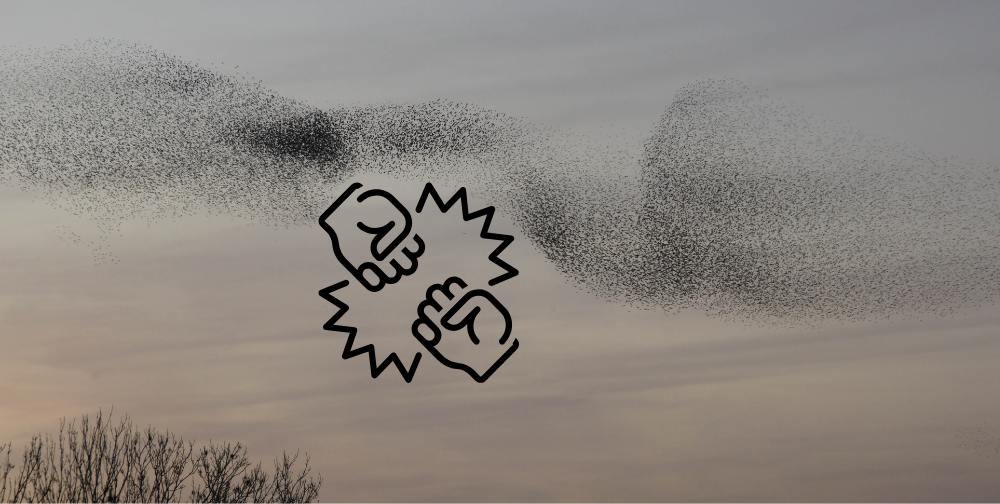 graur2.jpg