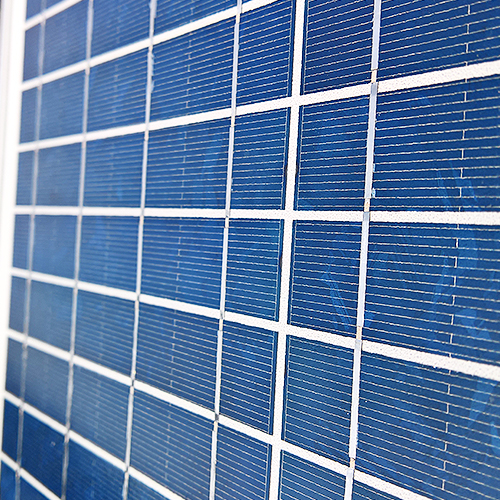 Panou Solar Agricol Vadalarm (50 W)